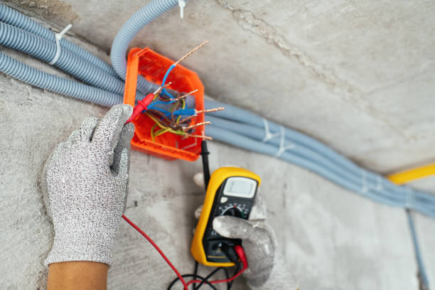 Best Electrician Near Me  in Holley, FL